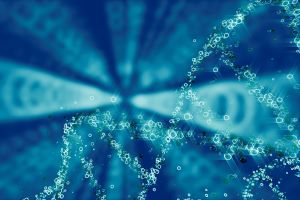 CEO Blog: Hong Kong’s next decade of connectivity